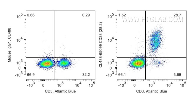 CD28 Antibody in Flow Cytometry (Flow)