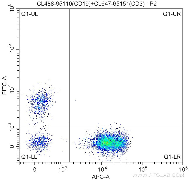 CD19 Antibody in Flow Cytometry (Flow)