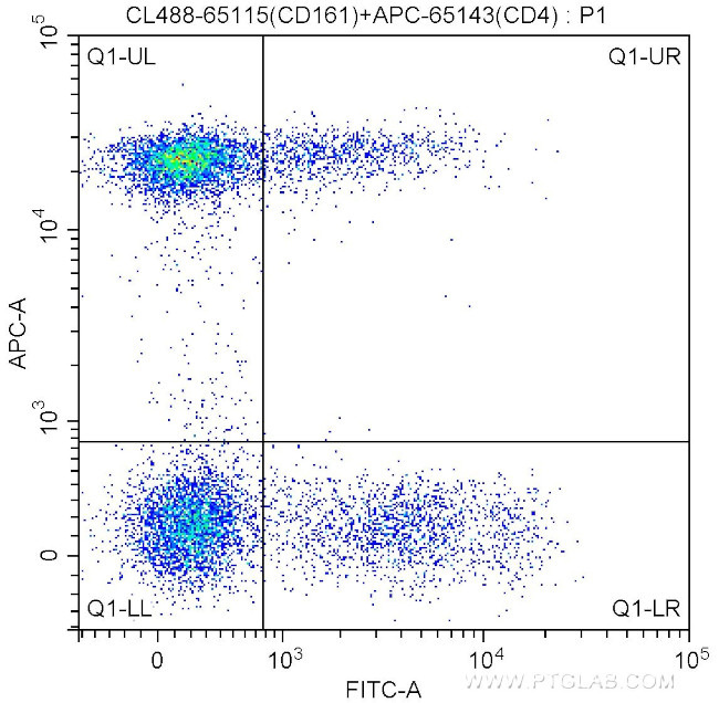 CD161 Antibody in Flow Cytometry (Flow)