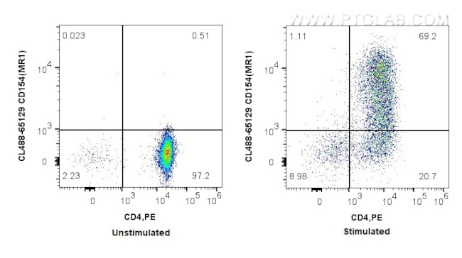CD40L/CD154 Antibody in Flow Cytometry (Flow)