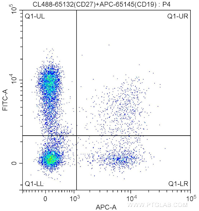 CD27 Antibody in Flow Cytometry (Flow)