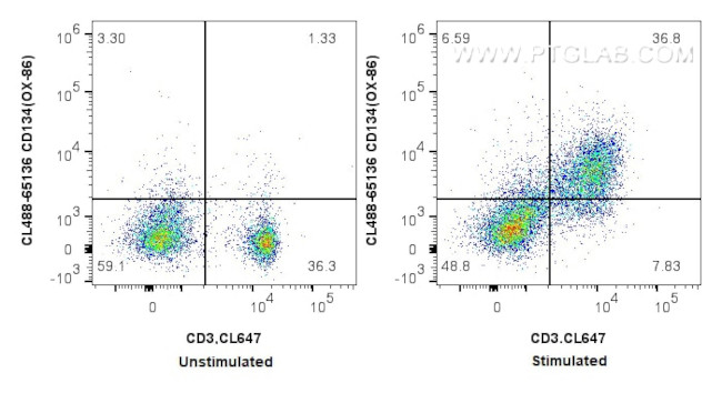 CD134/OX40 Antibody in Flow Cytometry (Flow)