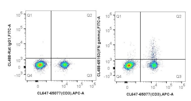 IFN gamma Antibody in Flow Cytometry (Flow)