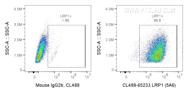 LRP1 Antibody in Flow Cytometry (Flow)