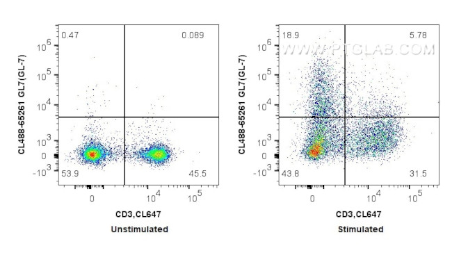 GL7 Antibody in Flow Cytometry (Flow)