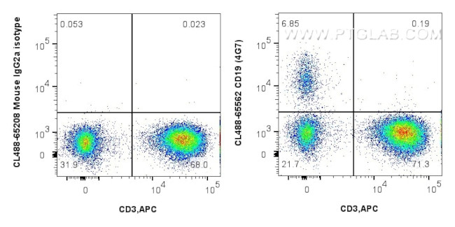 CD19 Antibody in Flow Cytometry (Flow)