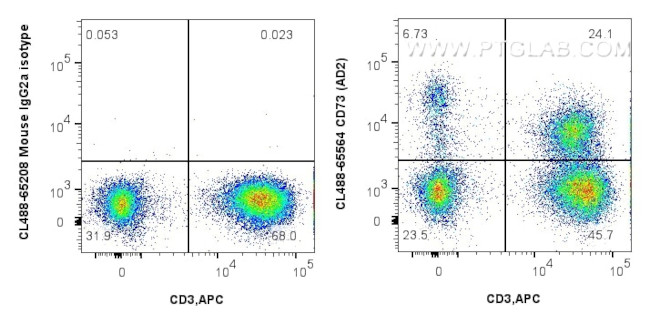 CD73 Antibody in Flow Cytometry (Flow)