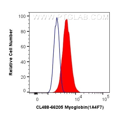 Myoglobin Antibody in Flow Cytometry (Flow)