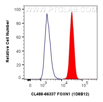 FOXN1 Antibody in Flow Cytometry (Flow)
