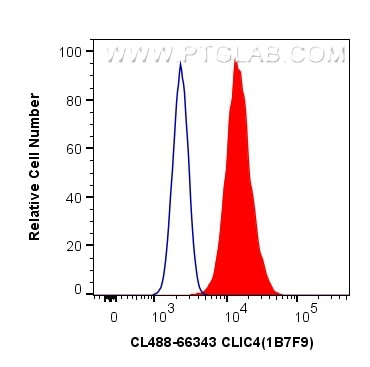 CLIC4 Antibody in Flow Cytometry (Flow)