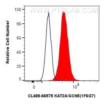 KAT2A/GCN5 Antibody in Flow Cytometry (Flow)