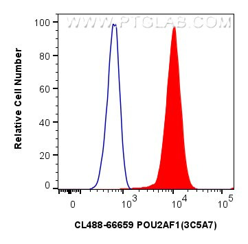 POU2AF1 Antibody in Flow Cytometry (Flow)