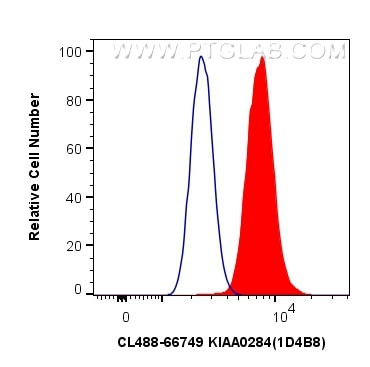KIAA0284 Antibody in Flow Cytometry (Flow)