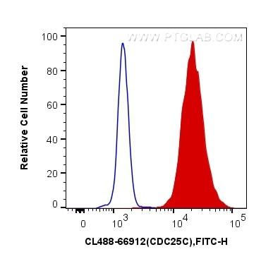 CDC25C Antibody in Flow Cytometry (Flow)