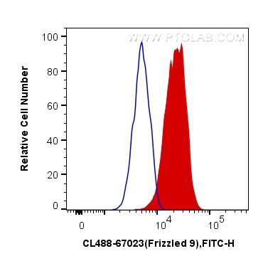 Frizzled 9 Antibody in Flow Cytometry (Flow)