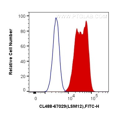 LSM12 Antibody in Flow Cytometry (Flow)