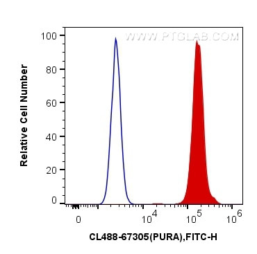 PURA Antibody in Flow Cytometry (Flow)