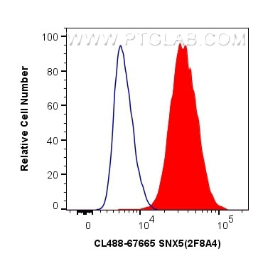 SNX5 Antibody in Flow Cytometry (Flow)