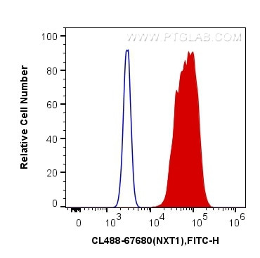 NXT1 Antibody in Flow Cytometry (Flow)