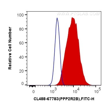 PPP2R2B Antibody in Flow Cytometry (Flow)