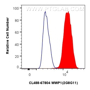 WWP1 Antibody in Flow Cytometry (Flow)