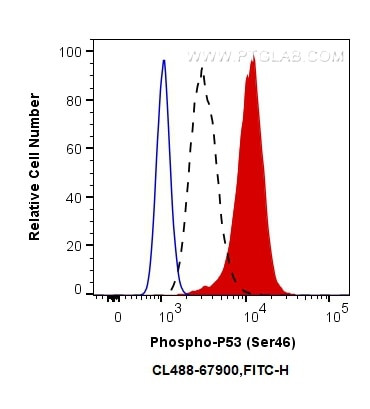 Phospho-P53 (Ser46) Antibody in Flow Cytometry (Flow)