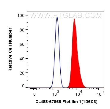 Flotillin 1 Antibody in Flow Cytometry (Flow)