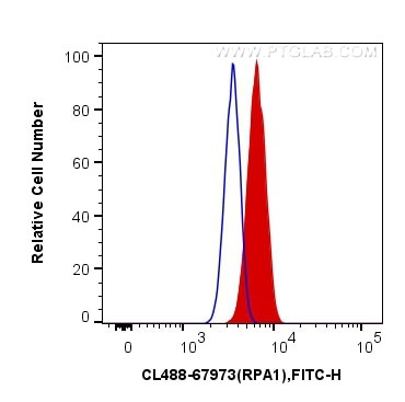 RPA1 Antibody in Flow Cytometry (Flow)