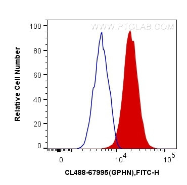 GPHN Antibody in Flow Cytometry (Flow)