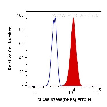 DHPS Antibody in Flow Cytometry (Flow)