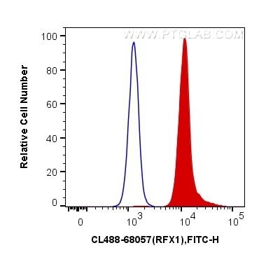 RFX1 Antibody in Flow Cytometry (Flow)