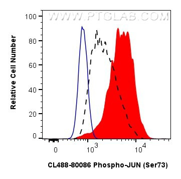 Phospho-JUN (Ser73) Antibody in Flow Cytometry (Flow)