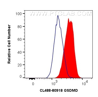 GSDMD Antibody in Flow Cytometry (Flow)