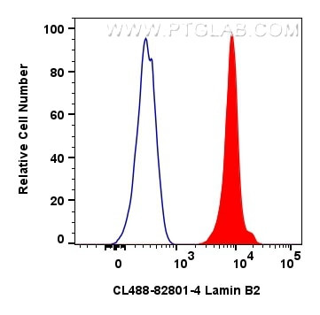 Lamin B2 Antibody in Flow Cytometry (Flow)