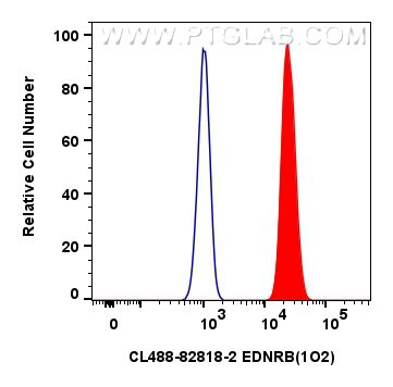 EDNRB Antibody in Flow Cytometry (Flow)