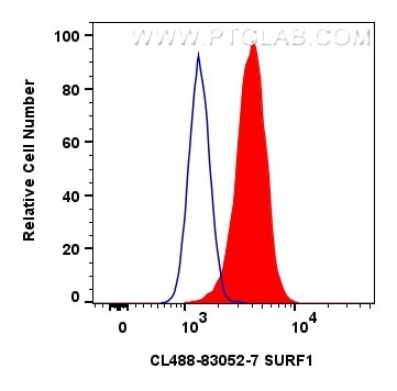 SURF1 Antibody in Flow Cytometry (Flow)