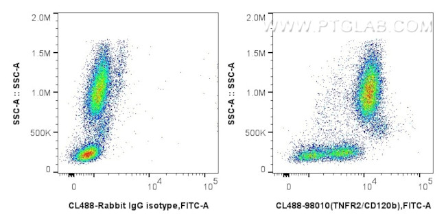 TNFR2/CD120b Antibody in Flow Cytometry (Flow)