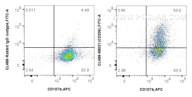 CD206 Antibody in Flow Cytometry (Flow)