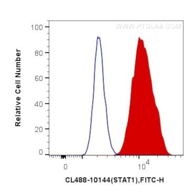 STAT1 Antibody in Flow Cytometry (Flow)