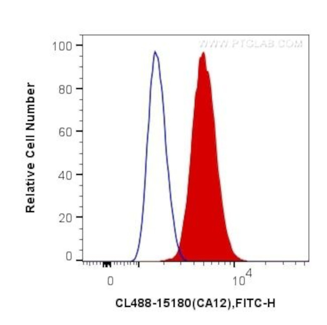 CA12 Antibody in Flow Cytometry (Flow)