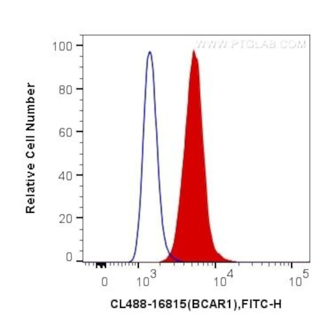 p130Cas Antibody in Flow Cytometry (Flow)