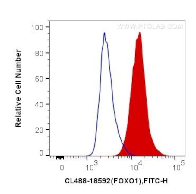 FOXO1 Antibody in Flow Cytometry (Flow)