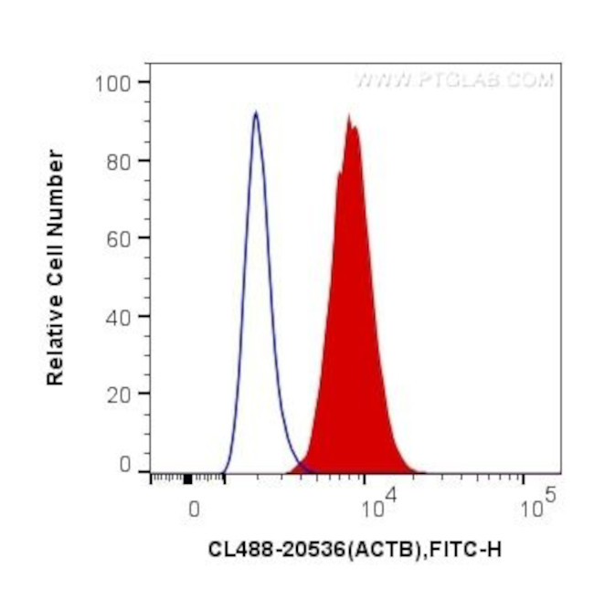 Beta Actin Antibody in Flow Cytometry (Flow)