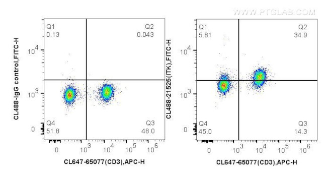 ITK Antibody in Flow Cytometry (Flow)