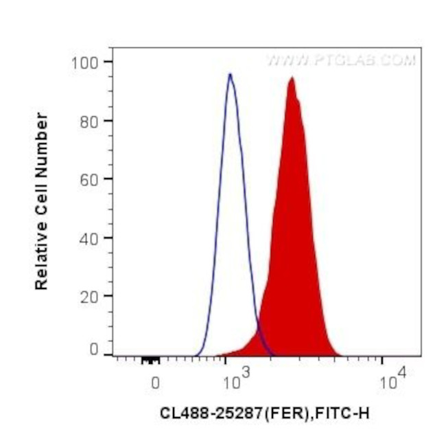 FER Antibody in Flow Cytometry (Flow)