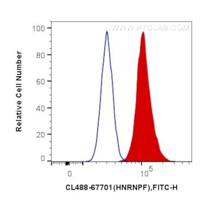 HNRNPF Antibody in Flow Cytometry (Flow)