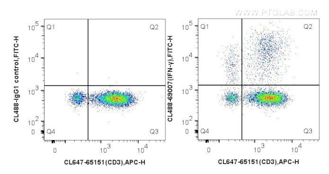 IFN Gamma Antibody in Flow Cytometry (Flow)