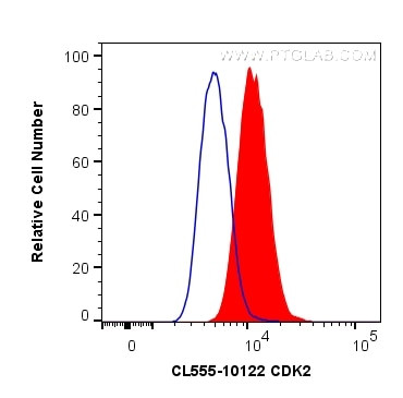 CDK2 Antibody in Flow Cytometry (Flow)