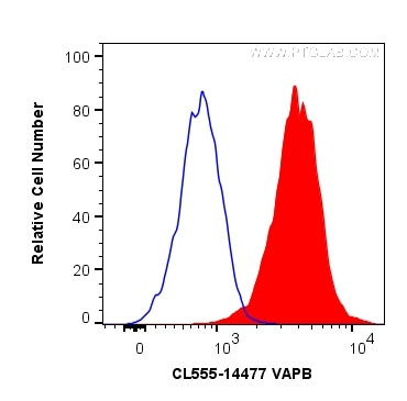 VAPB Antibody in Flow Cytometry (Flow)