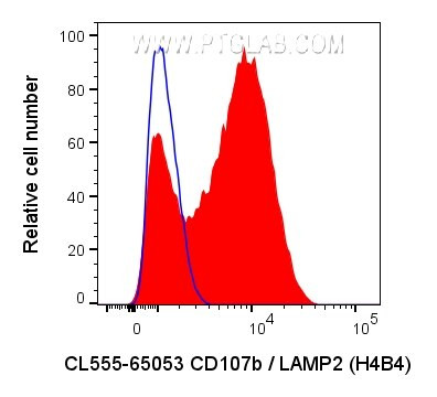 CD107b/LAMP2 Antibody in Flow Cytometry (Flow)